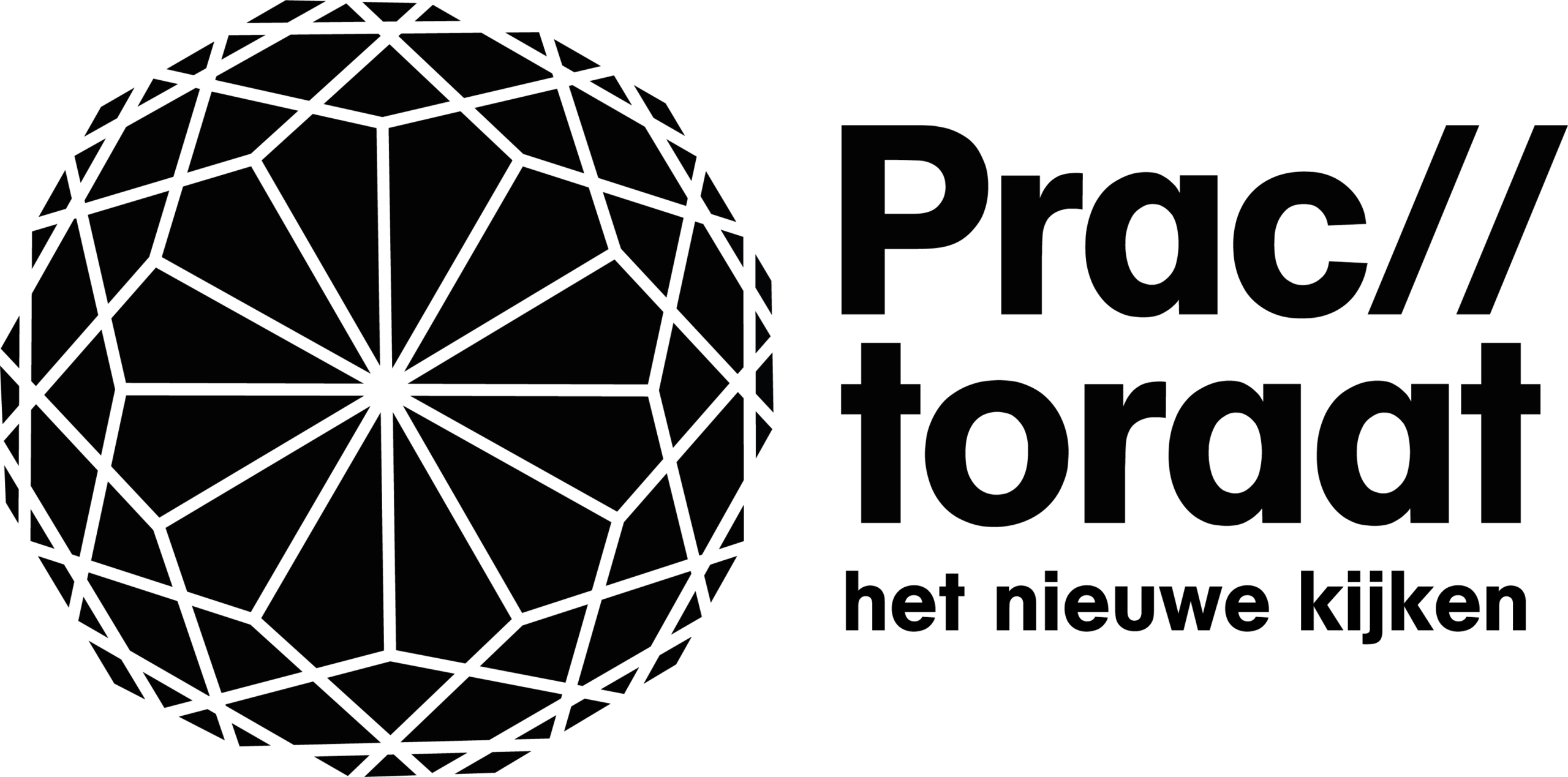 Practoraat Het Nieuwe Kijken